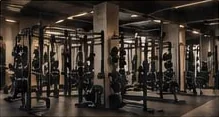 Gimnasio libre